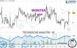 MONTEA - 1 uur