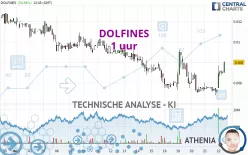 DOLFINES - 1 uur