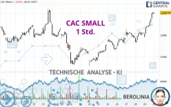 CAC SMALL - 1 Std.