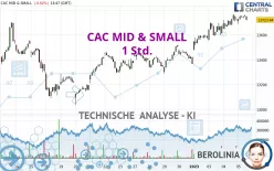 CAC MID &amp; SMALL - 1 Std.