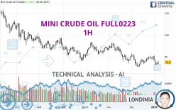 MINI CRUDE OIL FULL0125 - 1H