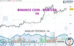 BINANCE COIN - BNB/USD - 1 Std.