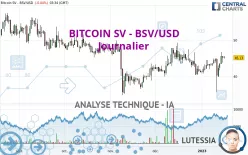 BITCOIN SV - BSV/USD - Journalier