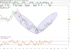 VANECK JUNIOR GOLD MINERS ETF - Journalier