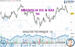 MAGNOLIA OIL & GAS - 1H