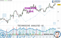 DSM KON - 1H