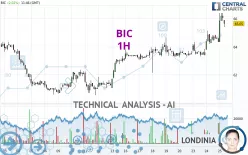 BIC - 1H