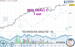 IBEX SMALL C - 1 uur