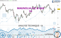 MAGNOLIA OIL & GAS - 1H