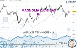 MAGNOLIA OIL &amp; GAS - 1H