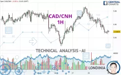 CAD/CNH - 1 Std.