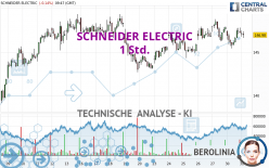 SCHNEIDER ELECTRIC - 1 Std.