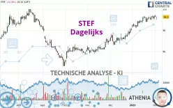 STEF - Dagelijks