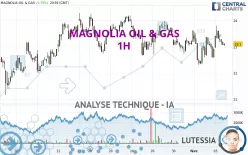 MAGNOLIA OIL &amp; GAS - 1H