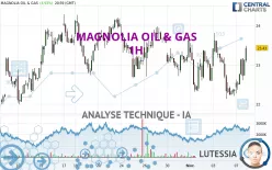 MAGNOLIA OIL &amp; GAS - 1H