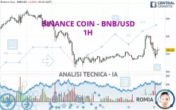 BINANCE COIN - BNB/USD - 1 Std.