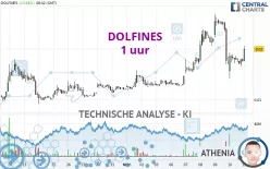 DOLFINES - 1 uur