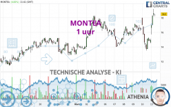 MONTEA - 1 uur