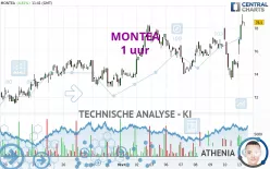 MONTEA - 1 uur