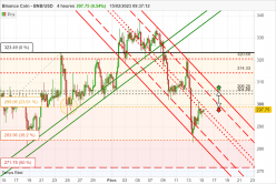 BINANCE COIN - BNB/USD - 4 uur