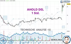 AHOLD DEL - 1 Std.