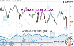 MAGNOLIA OIL & GAS - 1H