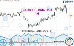 RADWORKS - RAD/USD - 1H