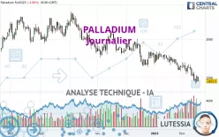 PALLADIUM - Dagelijks