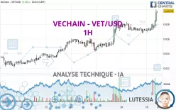 VECHAIN - VET/USD - 1H