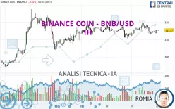 BINANCE COIN - BNB/USD - 1 Std.