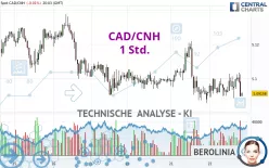 CAD/CNH - 1 Std.