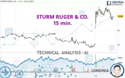 STURM RUGER &amp; CO. - 15 min.