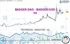 BADGER DAO - BADGER/USD - 1H