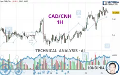 CAD/CNH - 1 Std.