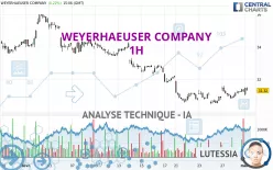 WEYERHAEUSER COMPANY - 1H