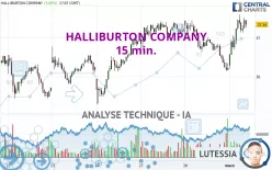 HALLIBURTON COMPANY - 15 min.