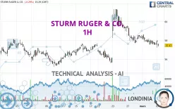 STURM RUGER &amp; CO. - 1H