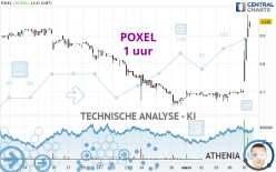 POXEL - 1 uur