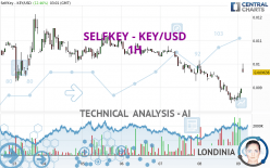 SELFKEY - KEY/USD - 1 Std.