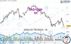 CAD/CNH - 1 Std.