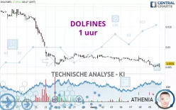 DOLFINES - 1 uur