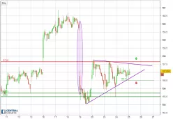APPLE INC. - 30 min.