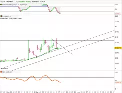 TRUEFI - TRU/USDT - Journalier