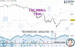 CAC SMALL - 1 Std.