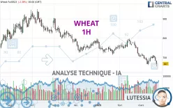 WHEAT - 1H