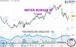 MEYER BURGER N0 - 1 uur