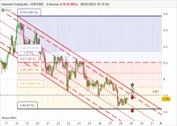 INTERNET COMPUTER - ICP/USD - 2 Std.