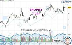 SHOPIFY - 1 uur