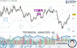 CORN - 1H