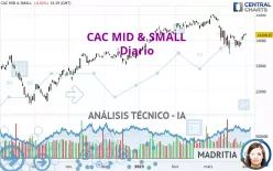 CAC MID &amp; SMALL - Diario